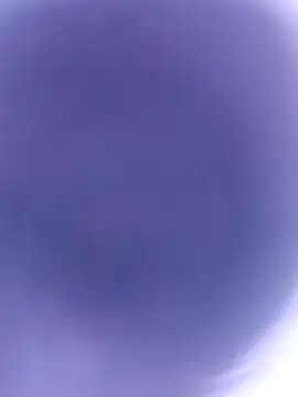 pussybebi online show from February 2026 10:58:02 AM