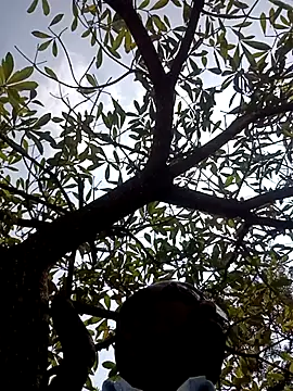 Snapshot of ipvk chatting on March 2026 07:15:01 AM ipvk online show from March 2026 07:15:01 AM