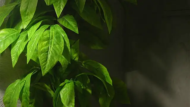 Snapshot of WaiMarxen chatting on September 2025 11:22:02 AM WaiMarxen online show from September 2025 11:22:02 AM