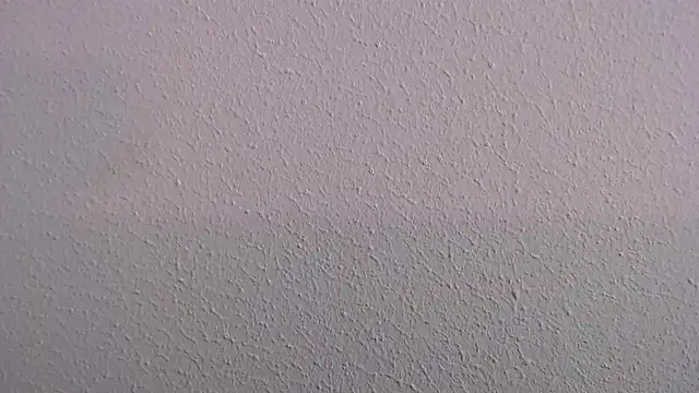 Camila Torresss online show from March 2026 07:26:01 PM