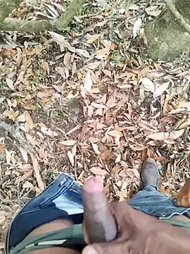 DICKLANKA online show from September 2025 06:29:02 AM