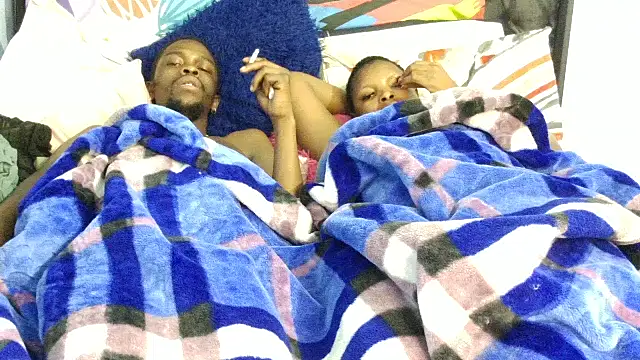 Dandelion enigman online show from November 2025 12:42:02 AM