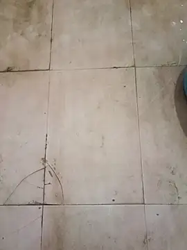 TeluguCuplehyd online show from September 2025 11:17:02 PM