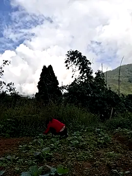 diamond-- online show from November 2025 01:36:01 AM