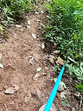 Snapshot of telugumodda4396 chatting on September 2025 06:28:02 AM telugumodda4396 online show from September 2025 06:28:02 AM