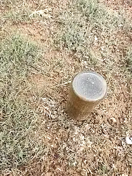 Snapshot of telugumodda4396 chatting on October 2025 02:31:01 AM telugumodda4396 online show from October 2025 02:31:01 AM