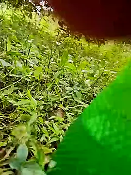 Snapshot of telugumodda4396 chatting on October 2025 07:49:02 AM telugumodda4396 online show from October 2025 07:49:02 AM