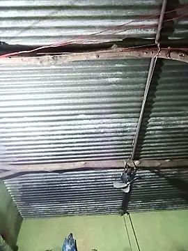 Haliya88 online show from October 2025 10:55:02 PM