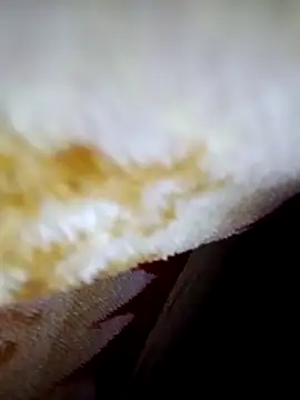 alone boy802 online show from October 2025 04:15:02 PM