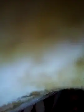 alone boy802 online show from November 2025 04:19:01 PM