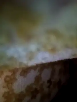 alone boy802 online show from November 2025 01:15:01 AM