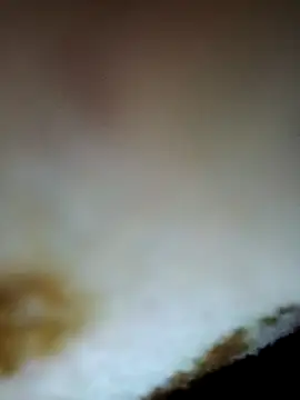 alone boy802 online show from November 2025 09:03:02 PM