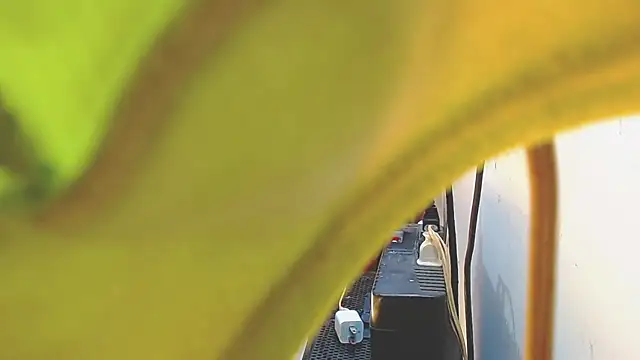 AnySugar online show from February 2025 07:50:02 PM