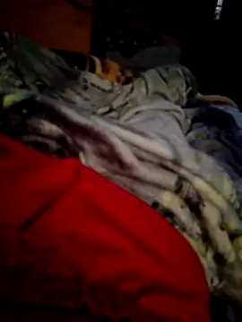 Snapshot of SALCEDO_041198 chatting on November 2025 11:42:02 AM SALCEDO 041198 online show from November 2025 11:42:02 AM