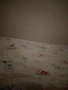 Snapshot of SALCEDO_041198 chatting on November 2025 11:32:02 AM SALCEDO 041198 online show from November 2025 11:32:02 AM