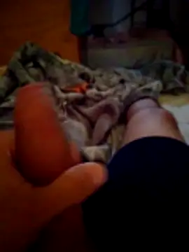 Snapshot of SALCEDO_041198 chatting on November 2025 11:42:02 AM SALCEDO 041198 online show from November 2025 11:42:02 AM