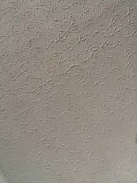 big bearr online show from November 2025 01:44:02 PM