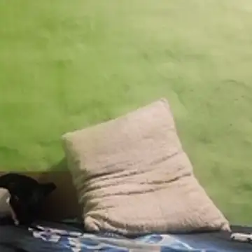 Snapshot of kaland69 chatting on November 2025 09:24:01 PM kaland69 online show from November 2025 09:24:01 PM