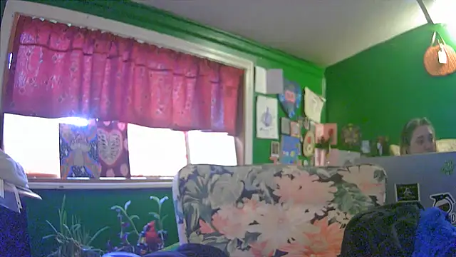 HippieDad333 online show from June 2026 11:42:02 PM