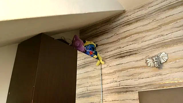 Lovers 21 online show from January 2026 03:32:01 AM