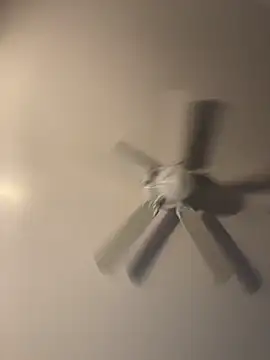 pmonie online show from November 2025 12:05:02 AM