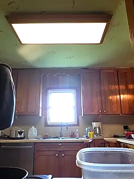 bear8t online show from April 2026 05:26:02 PM