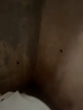 favelado33 online show from September 2025 04:22:02 PM