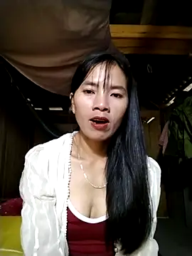 lmc-zz online show from November 2025 01:29:01 AM