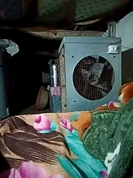 Lona2525 online show from February 2026 08:38:02 PM