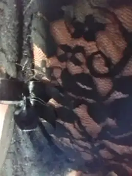 misteriosabb000 online show from March 2026 06:33:01 PM