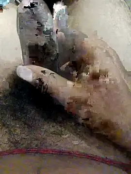 nagepalli online show from November 2025 02:13:01 AM