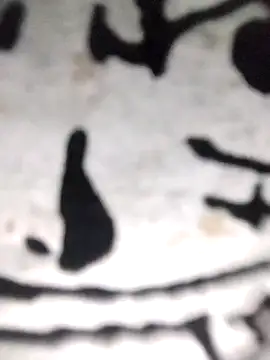 Snapshot of PEEHU-50 chatting on November 2025 12:10:02 AM PEEHU-50 online show from November 2025 12:10:02 AM