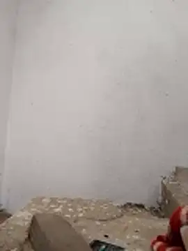 Snapshot of PEEHU-50 chatting on November 2025 03:20:01 AM PEEHU-50 online show from November 2025 03:20:01 AM