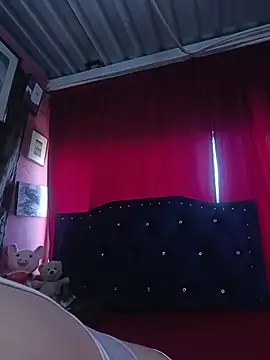 Snapshot of lizethavila chatting on March 2026 08:59:02 PM lizethavila online show from March 2026 08:59:02 PM