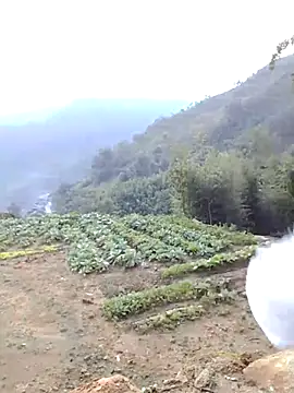 Bum 538 online show from November 2025 12:21:01 AM