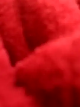 ProXydelhi online show from February 2026 11:19:02 PM