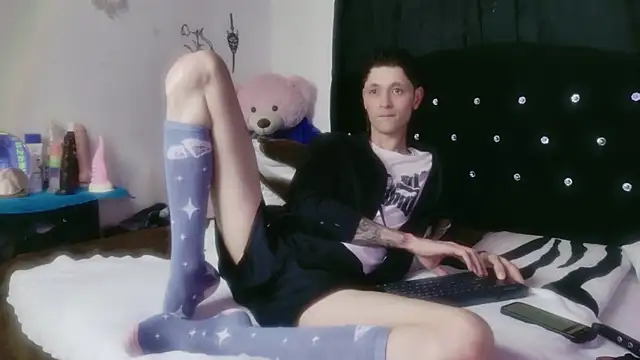 Tyler cat online show from February 2026 10:16:01 AM