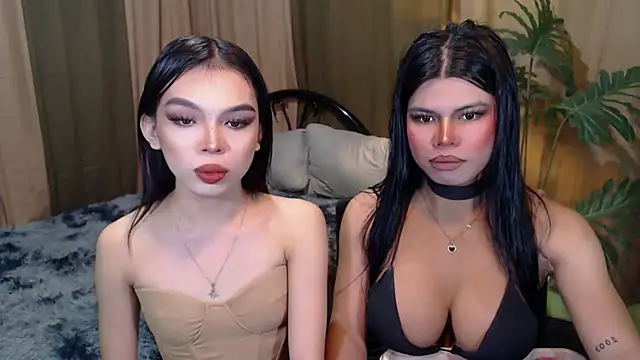 TWINKTRANSSHANEL online show from October 2025 09:34:02 AM