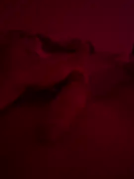 nieonixpeek19 online show from February 2026 09:13:01 PM