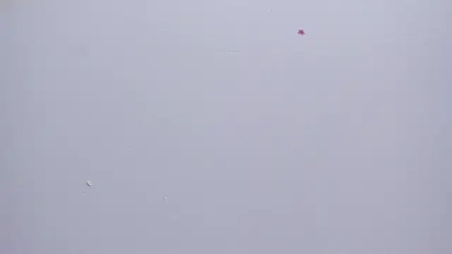 Malory  Jones online show from January 2026 06:34:01 PM