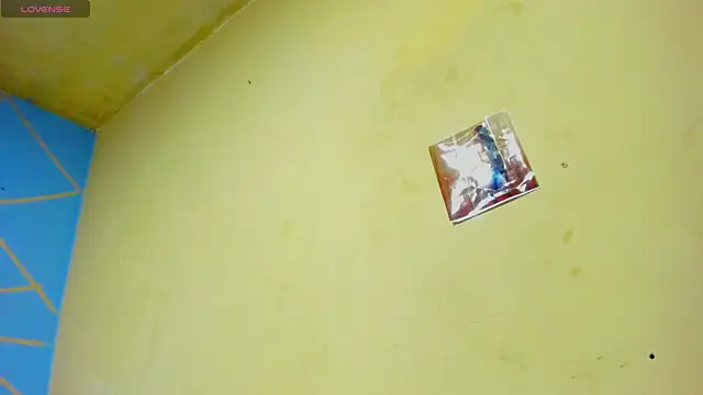 Paulina new online show from November 2025 12:12:01 AM