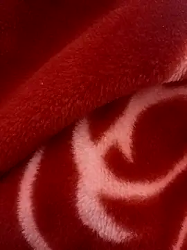 pn12345 online show from October 2025 06:04:01 PM