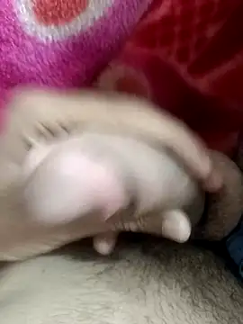 pn12345 online show from November 2025 05:44:01 PM