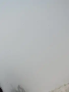  Bella Beth  online show from December 2025 12:49:02 AM