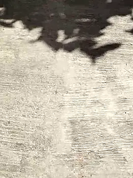 deepti 07 online show from October 2025 09:40:02 AM