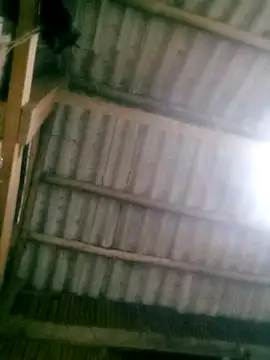 Ducky27021991 online show from October 2025 12:17:01 PM