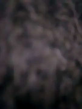 Ripe me online show from November 2025 10:14:02 AM