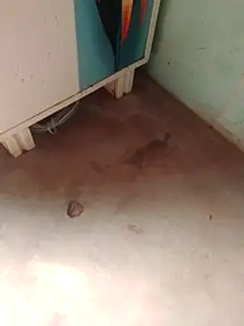 Tg sonam online show from December 2025 07:17:02 AM