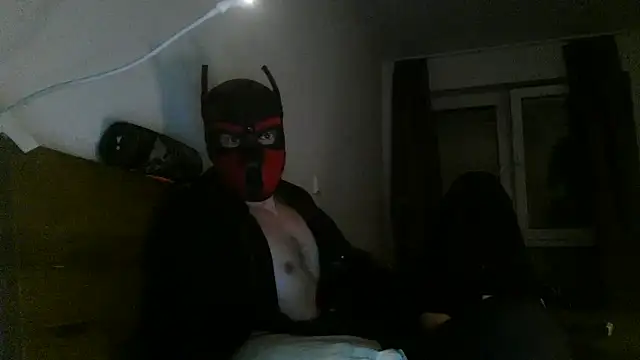 MolleDolle online show from December 2025 10:52:01 PM