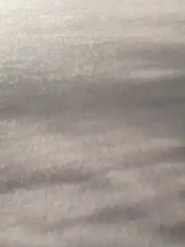 Y0ur Slave online show from March 2026 07:26:02 AM